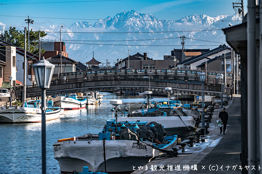 新湊きっときと市場