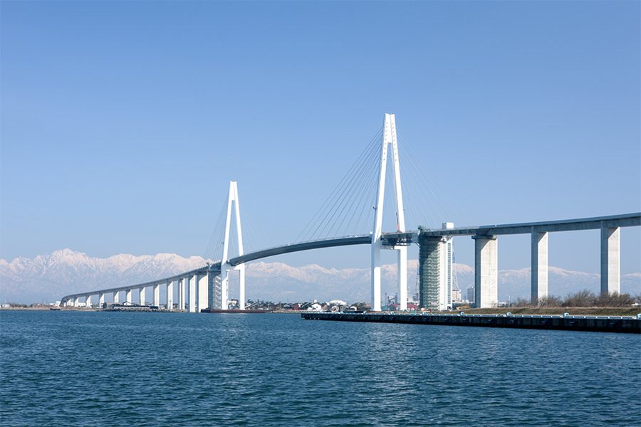 新湊きっときと市場