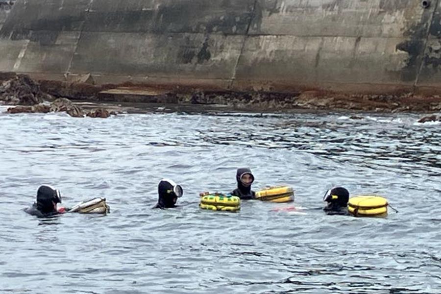 あわび放流活動