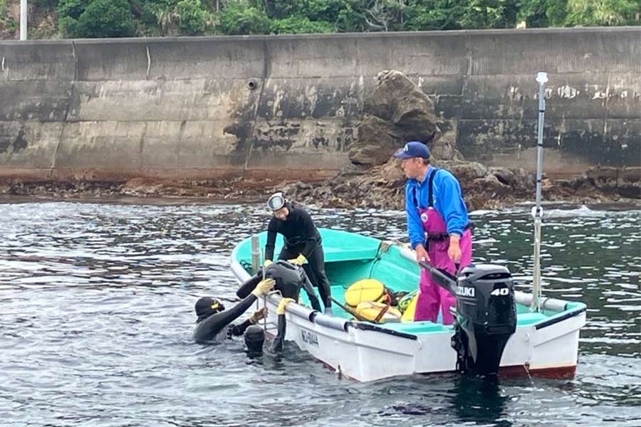 あわび放流活動