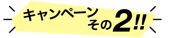 下呂温泉キャンペーンその2