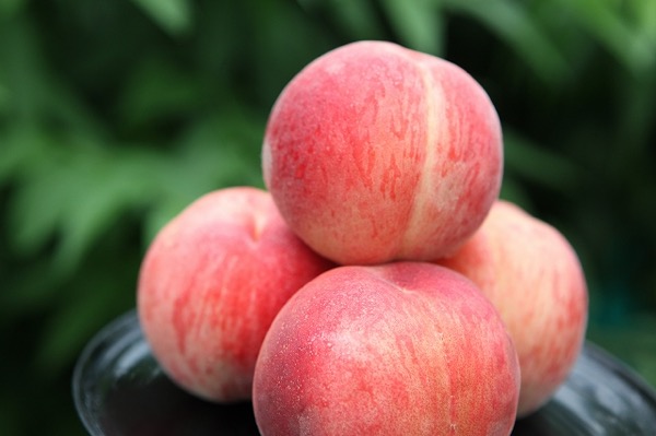 御坂農園グレープハウス