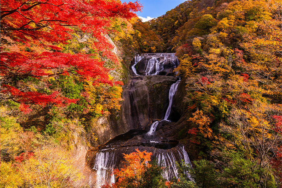 袋田の滝