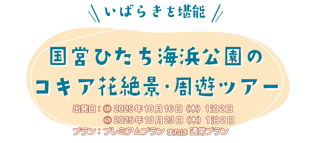 国営ひたち海浜公園早朝ツアー