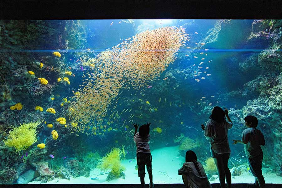 アクアマリンふくしま