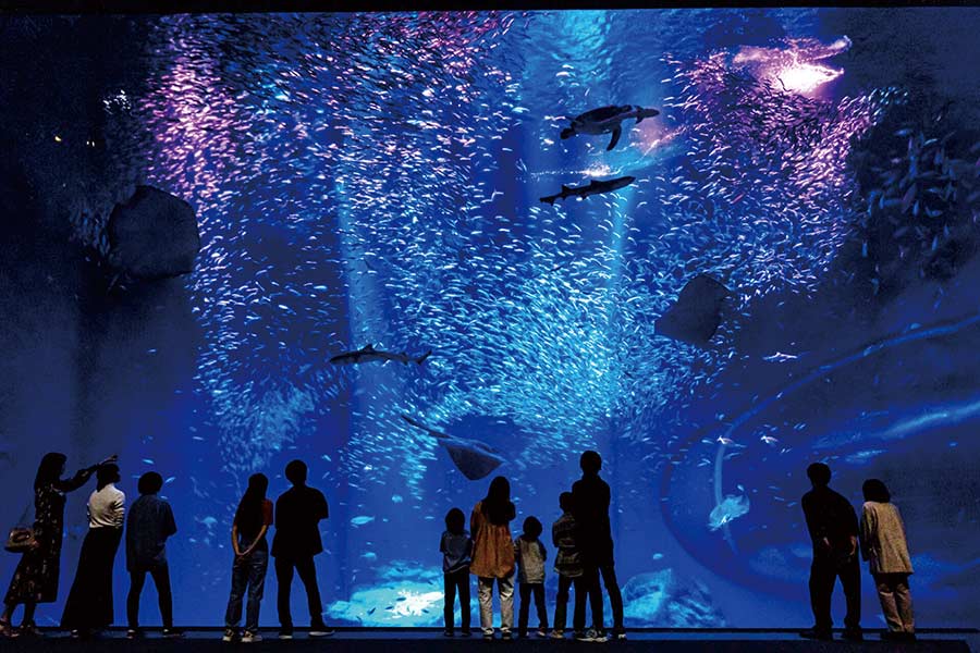 アクアワールド茨城県大洗水族館