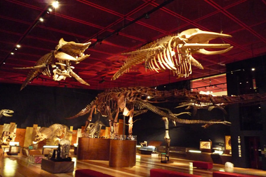 いわき市石炭・化石館 ほるる