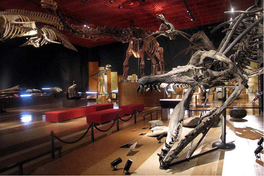 いわき市石炭・化石館 ほるる