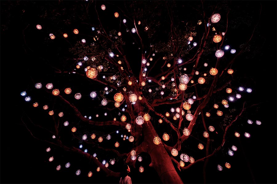 五浦「チームラボ 幽谷隠田跡」