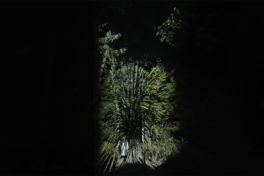 五浦「チームラボ 幽谷隠田跡」