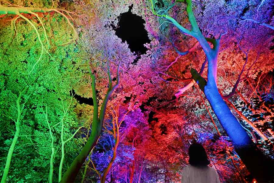 五浦「チームラボ 幽谷隠田跡」