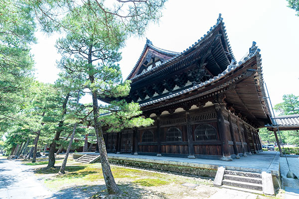 大徳寺 法堂・経蔵