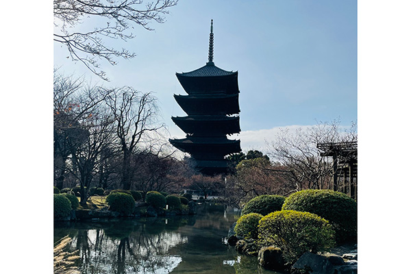 東寺 五重塔