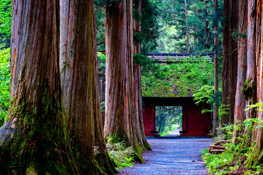 戸隠神社