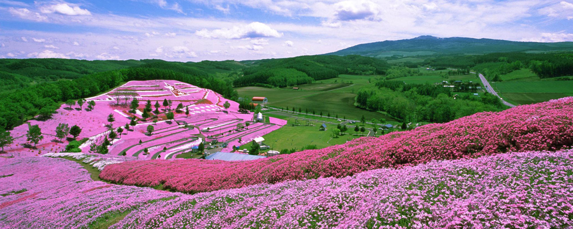 ひがしもこと芝桜公園へ行こう!