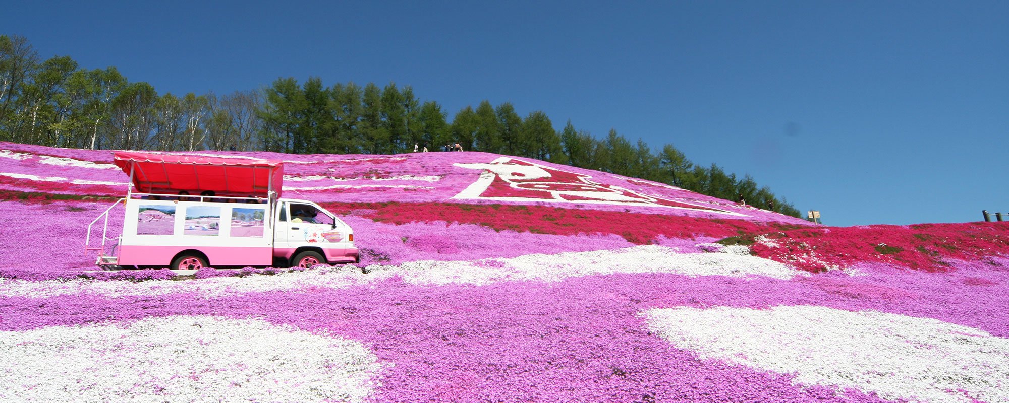 ひがしもこと芝桜公園へ行こう!