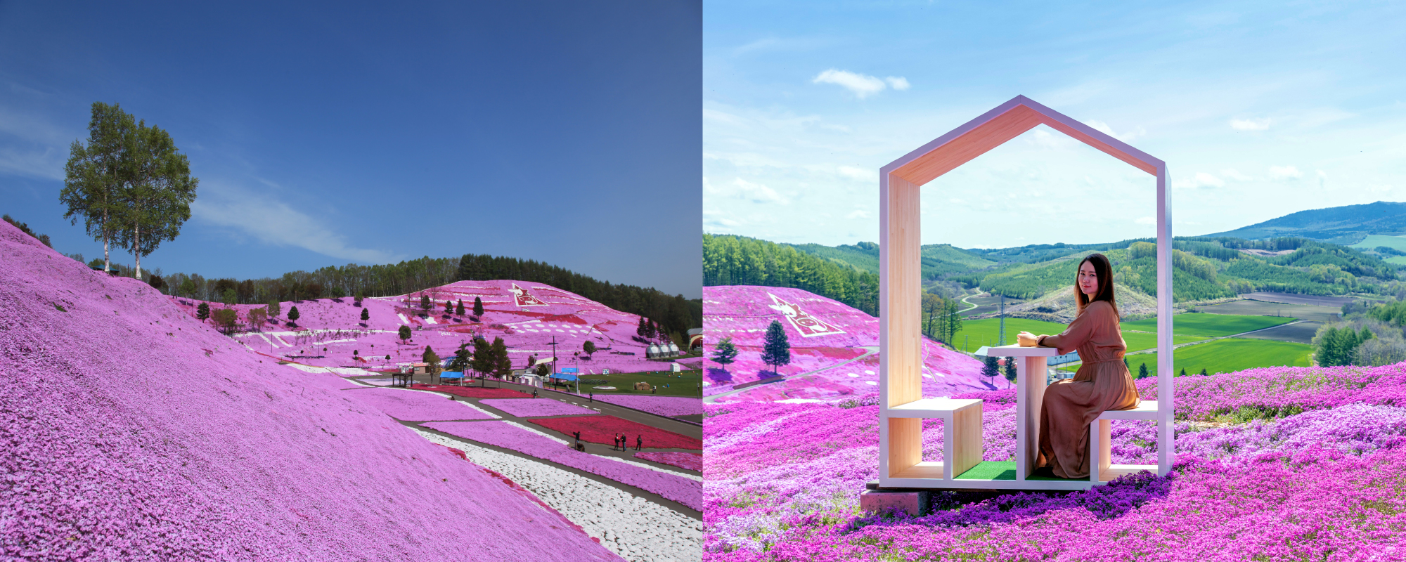 ひがしもこと芝桜公園へ行こう!