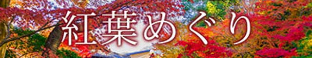 紅葉特集2025