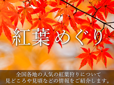 紅葉めぐり2025