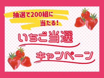抽選で200組に栃木県産いちごが当たる！