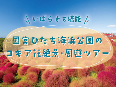 茨城コキア