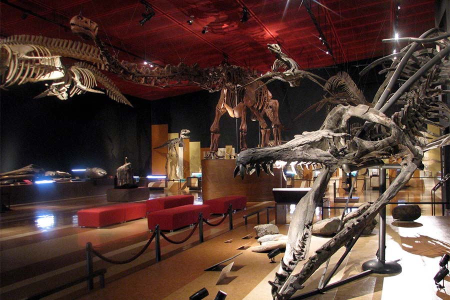 いわき市石炭・化石館 ほるる