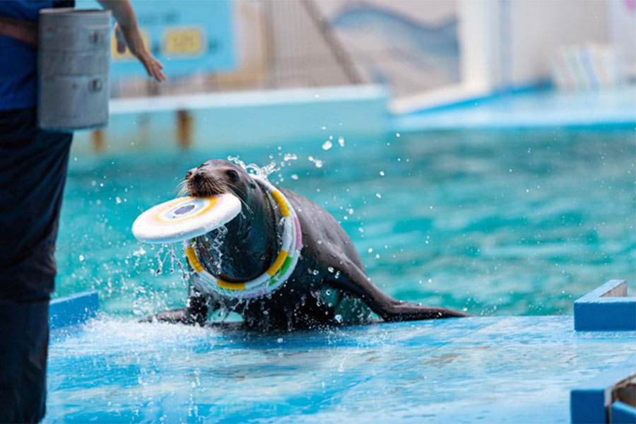 のとじま水族館