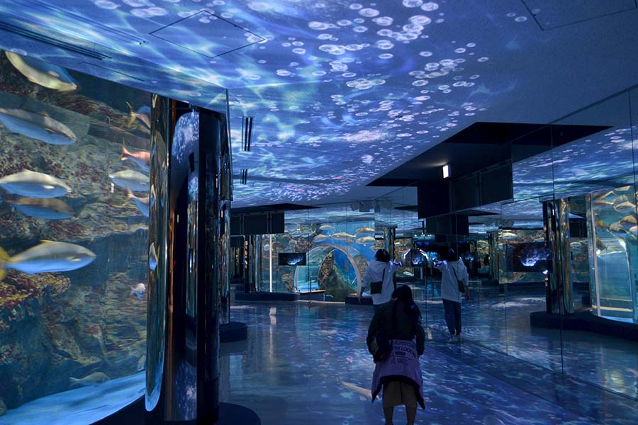 のとじま水族館