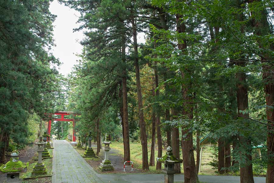 蒼柴神社