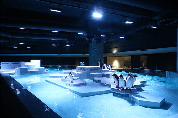 AOAO SAPPORO