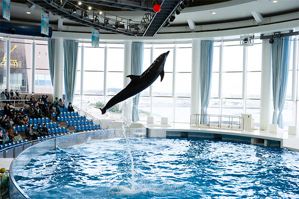 アクアワールド茨城県大洗水族館