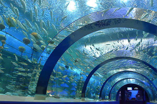 青森県営　浅虫水族館