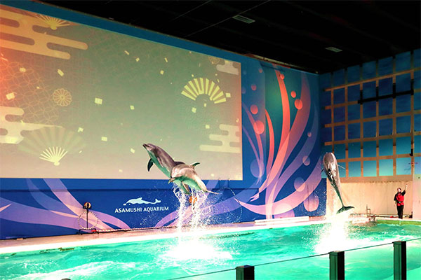 青森県営　浅虫水族館