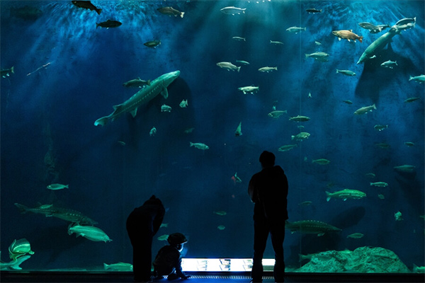 千歳水族館