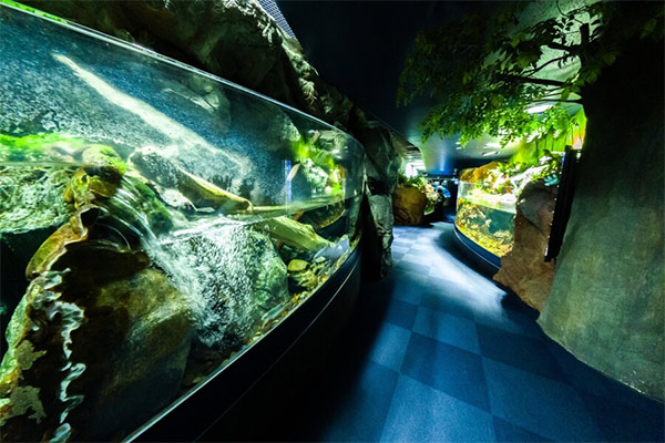千歳水族館