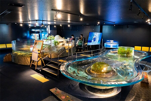 千歳水族館