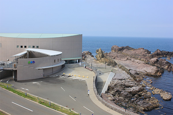 男鹿水族館GAO