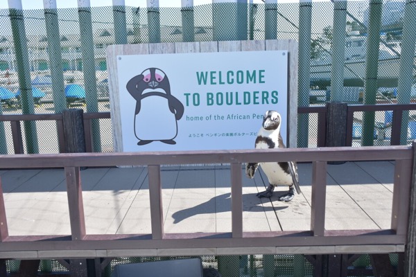 八景島シーパラダイス