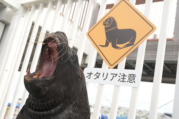 八景島シーパラダイス