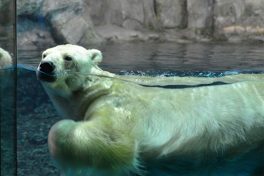 八景島シーパラダイス