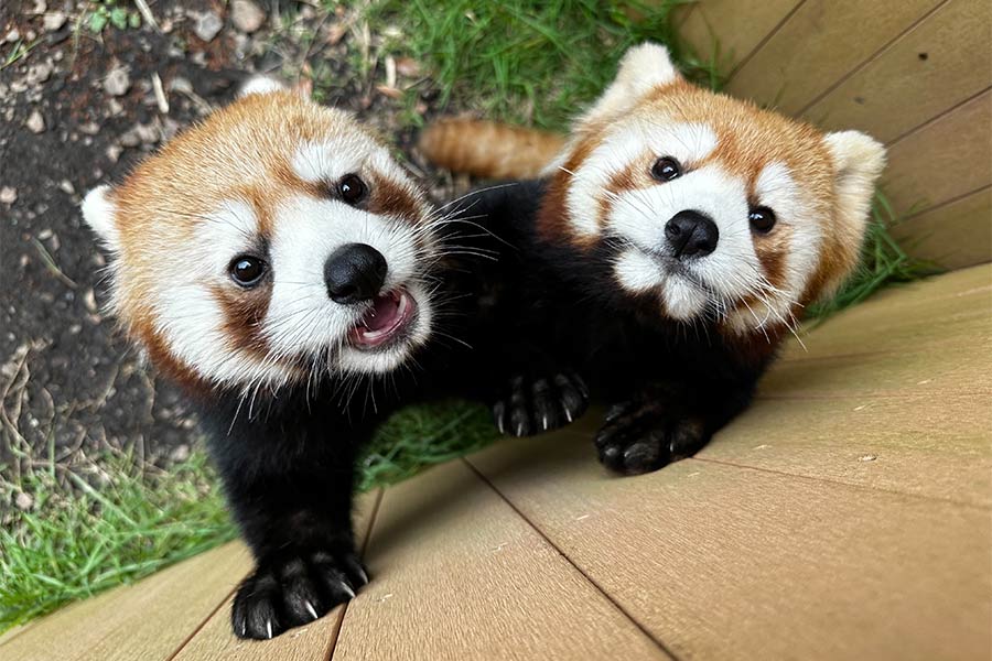 八景島シーパラダイス