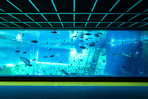 箱根園水族館
