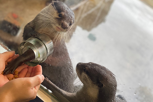 箱根園水族館