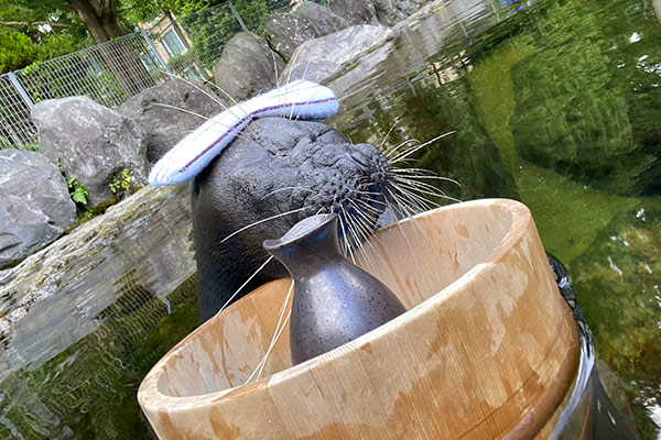 箱根園水族館