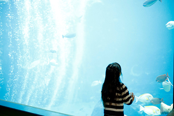 箱根園水族館