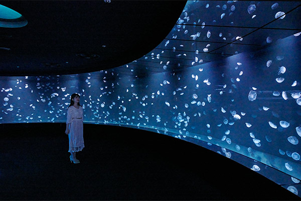 池袋サンシャイン水族館