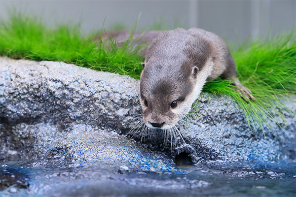池袋サンシャイン水族館