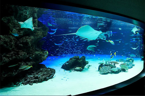 池袋サンシャイン水族館