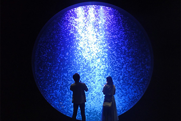 加茂水族館