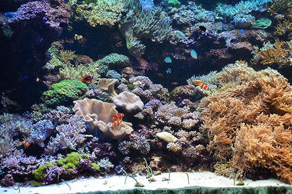 新潟市水族館マリンピア日本海